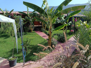 Arlin Bungalows